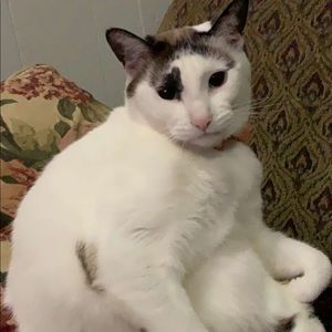 Meet your Posher, Aaylah